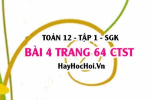 Bài 4 trang 64 Toán 12 tập 1 Chân trời sáng tạo